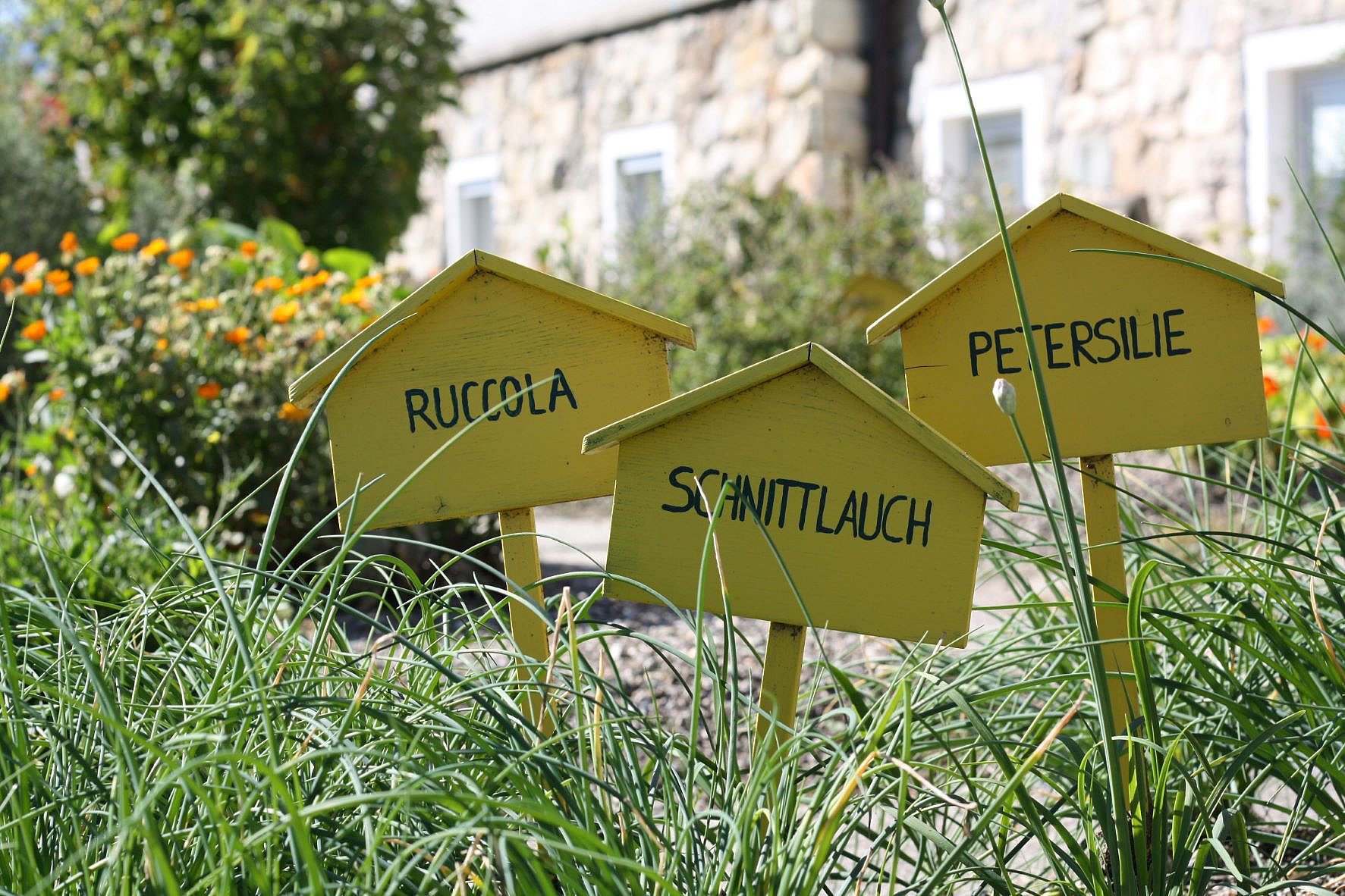 Gartenarbeit: Schilder in einem hübschen Kräuterbeet