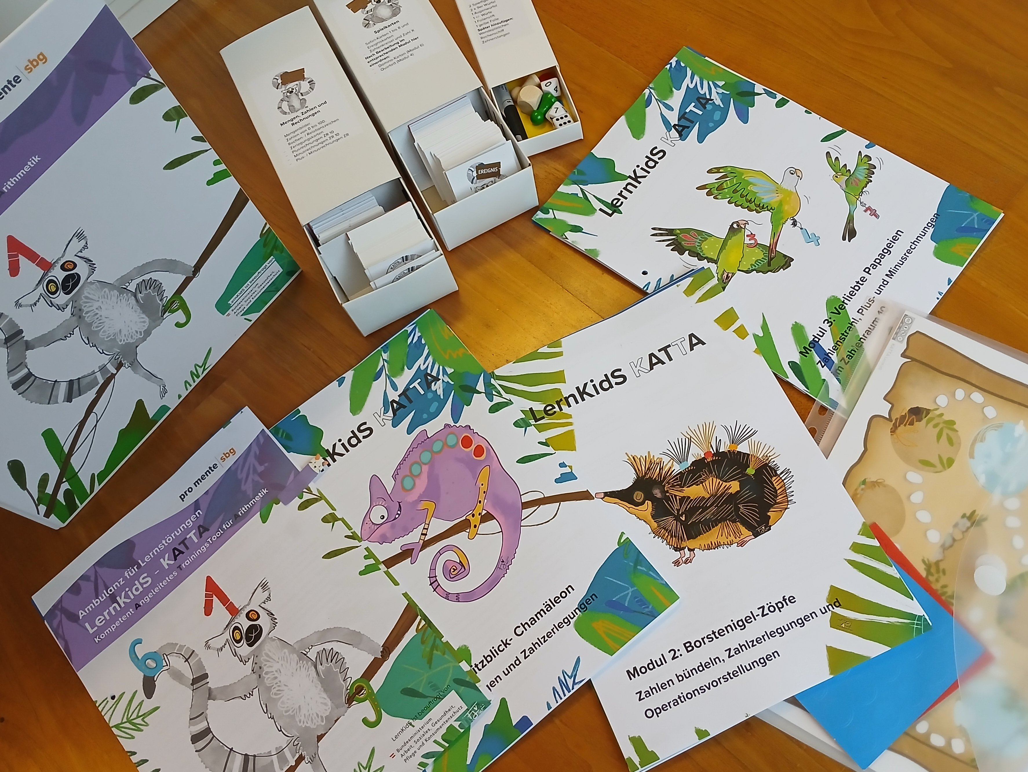 Flyer, Folder Lernkids Katta