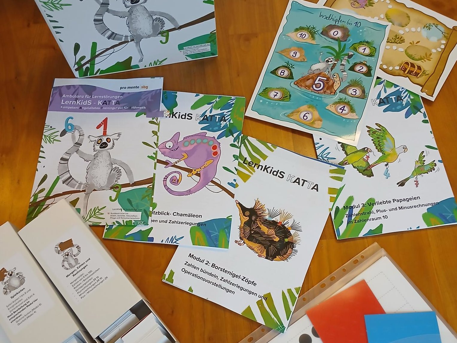 Flyer, Folder Lernkids